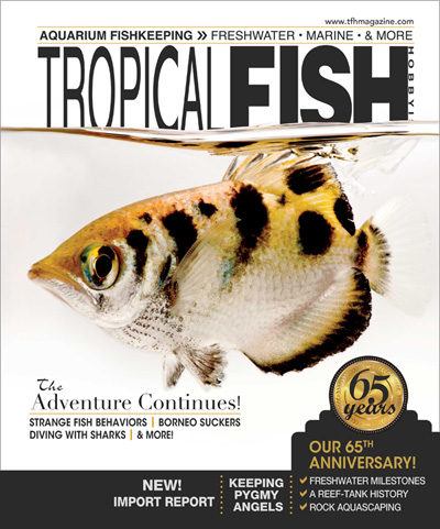 Subscribe to Tropical Fish Hobbyist
