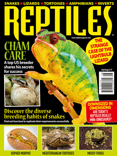 Subscribe to Reptiles