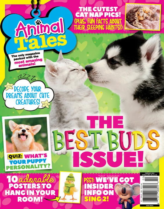 Animal Tales Magazine