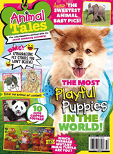 Animal Tales  612 Magazine