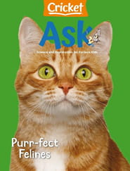 Ask Magazine