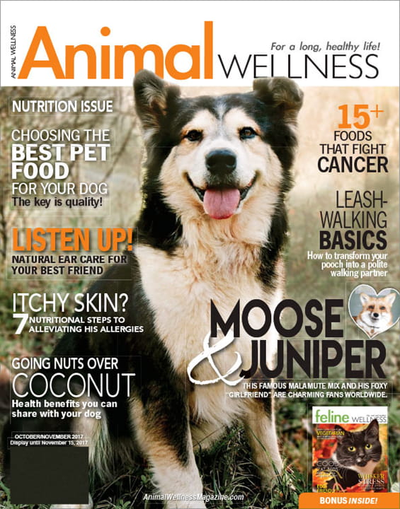 Animal Wellness Magazine