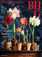 Better Homes  Gardens  Digital Magazine