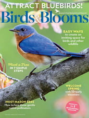 Birds & Blooms Magazine