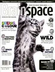 Brainspace Magazine