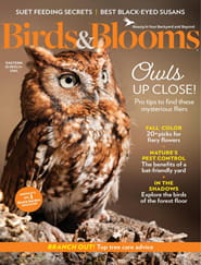 Birds & Blooms - Digital Magazine
