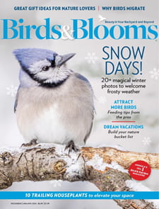 Birds & Blooms - Digital Magazine