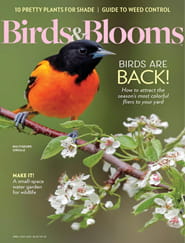 Birds & Blooms - Digital Magazine