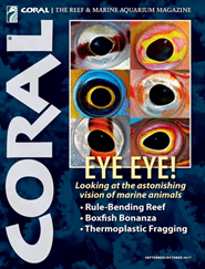 Coral Magazine