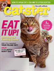 Catster Magazine