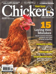 Chickens Magazine