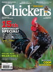 Chickens