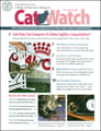 CatWatch Magazine