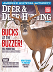 Deer & Deer Hunting