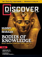 Discover Magazine