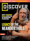 Discover