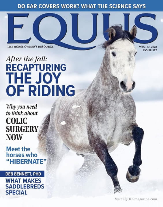 Equus Magazine