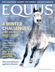 Equus Magazine