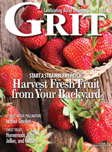 Grit Magazine