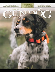 Gun Dog Magazine