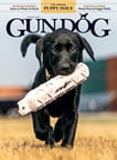 Gun Dog-Digital