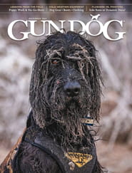 Gun Dog-Digital Magazine