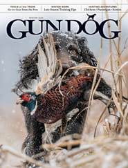 Gun Dog-Digital Magazine