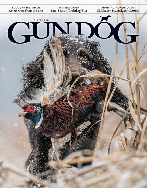 Gun Dog-Digital Magazine