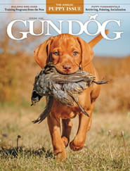 Gun Dog-Digital Magazine