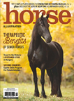 Horse Illustrated