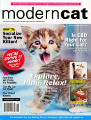 Modern Cat Magazine