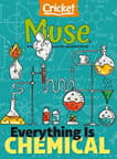 Muse