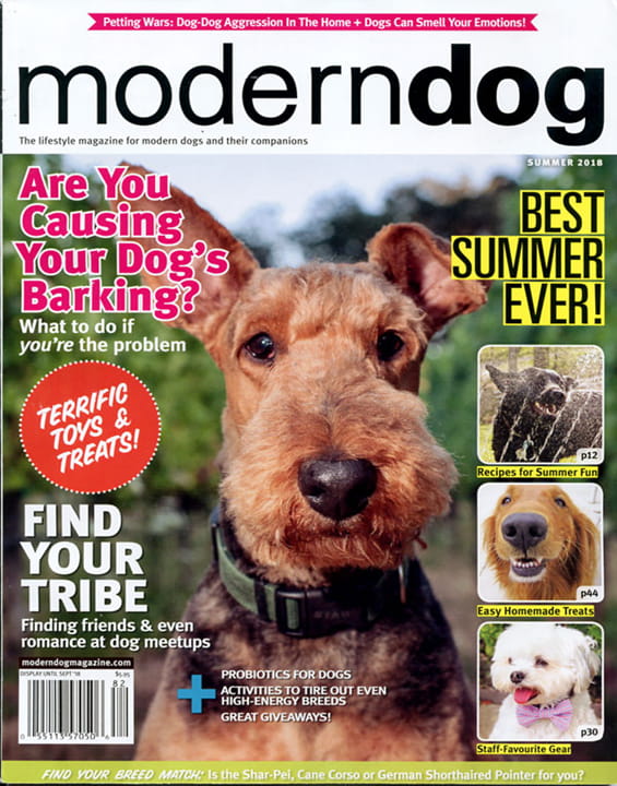 Modern Dog Magazine Subscription StudentMags