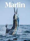 Marlin