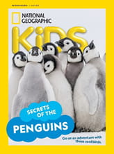 National Geographic Kids Magazine