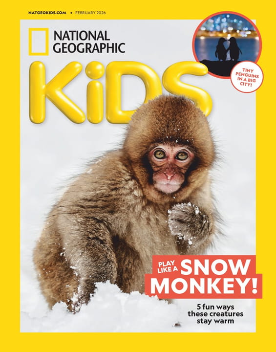 National Geographic Kids Magazine