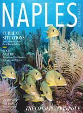 Naples Illustrated Magazine