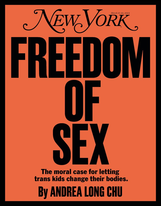 New York Magazine Subscription StudentMags