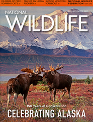 National Wildlife Magazine