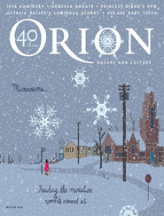 Orion-Digital Magazine