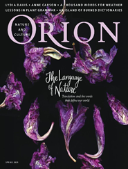 Orion-Digital Magazine