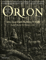 Orion-Digital Magazine