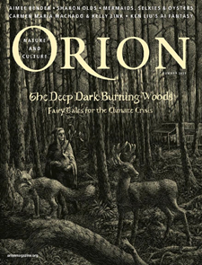 Orion-Digital Magazine
