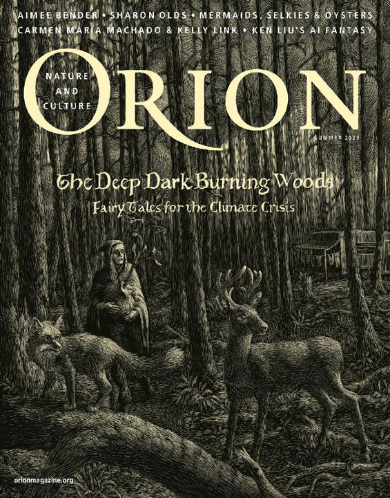 Orion-Digital Magazine