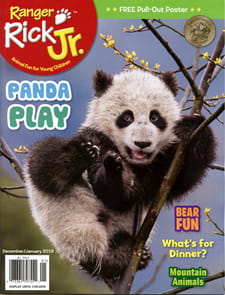Ranger Rick Jr. Magazine