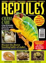 REPTILES Magazine