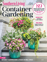 Southern Living - Digital Magazine