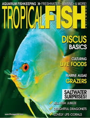 Tropical Fish Hobbyist Magazine