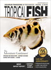 Tropical Fish Hobbyist