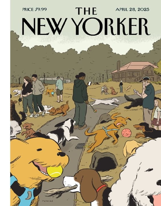 The New Yorker Magazine